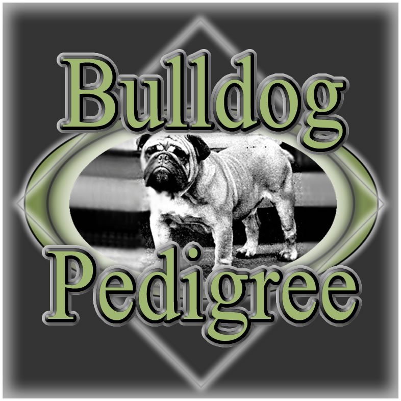 English Bulldog Pedigree Database